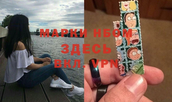 прущий лед Вяземский