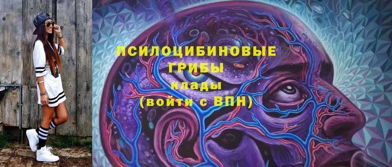 Галлюциногенные грибы мицелий  кракен онион  Нижняя Тура  где найти наркотики 